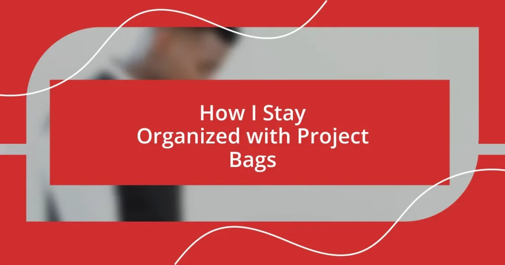 How I Stay Organized with Project Bags