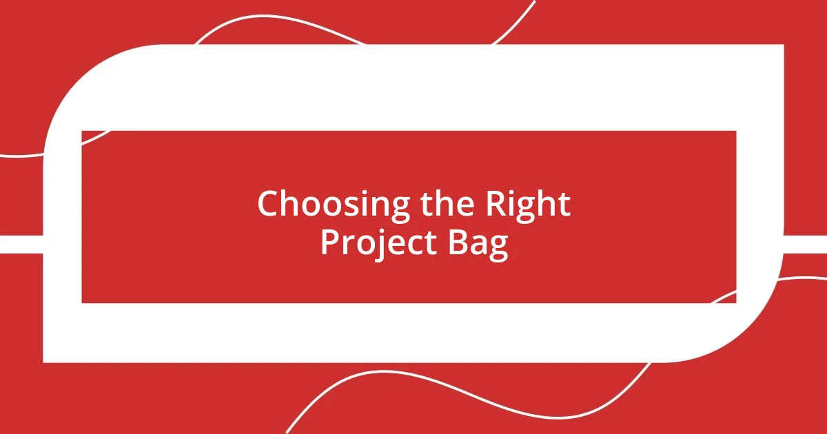 Choosing the Right Project Bag